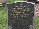 image of grave number 62319